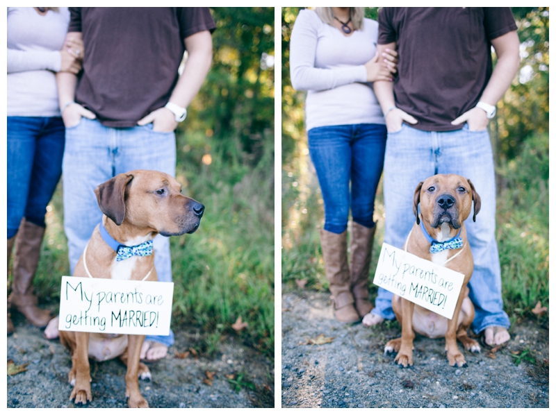 Nikki Santerre Photography_Mike & Erin_Virginia Fall Engagement Session_0003
