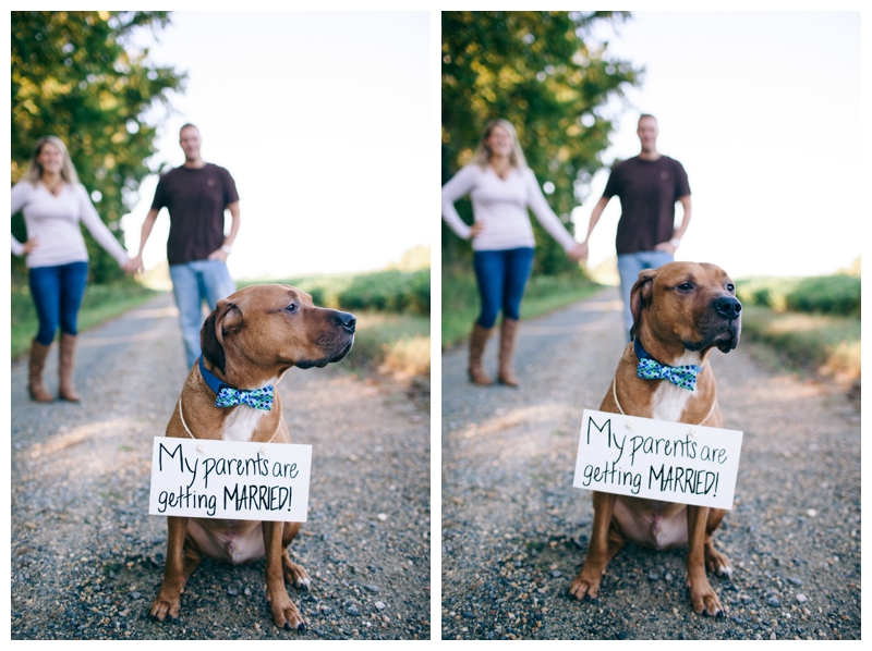 Nikki Santerre Photography_Mike & Erin_Virginia Fall Engagement Session_0006