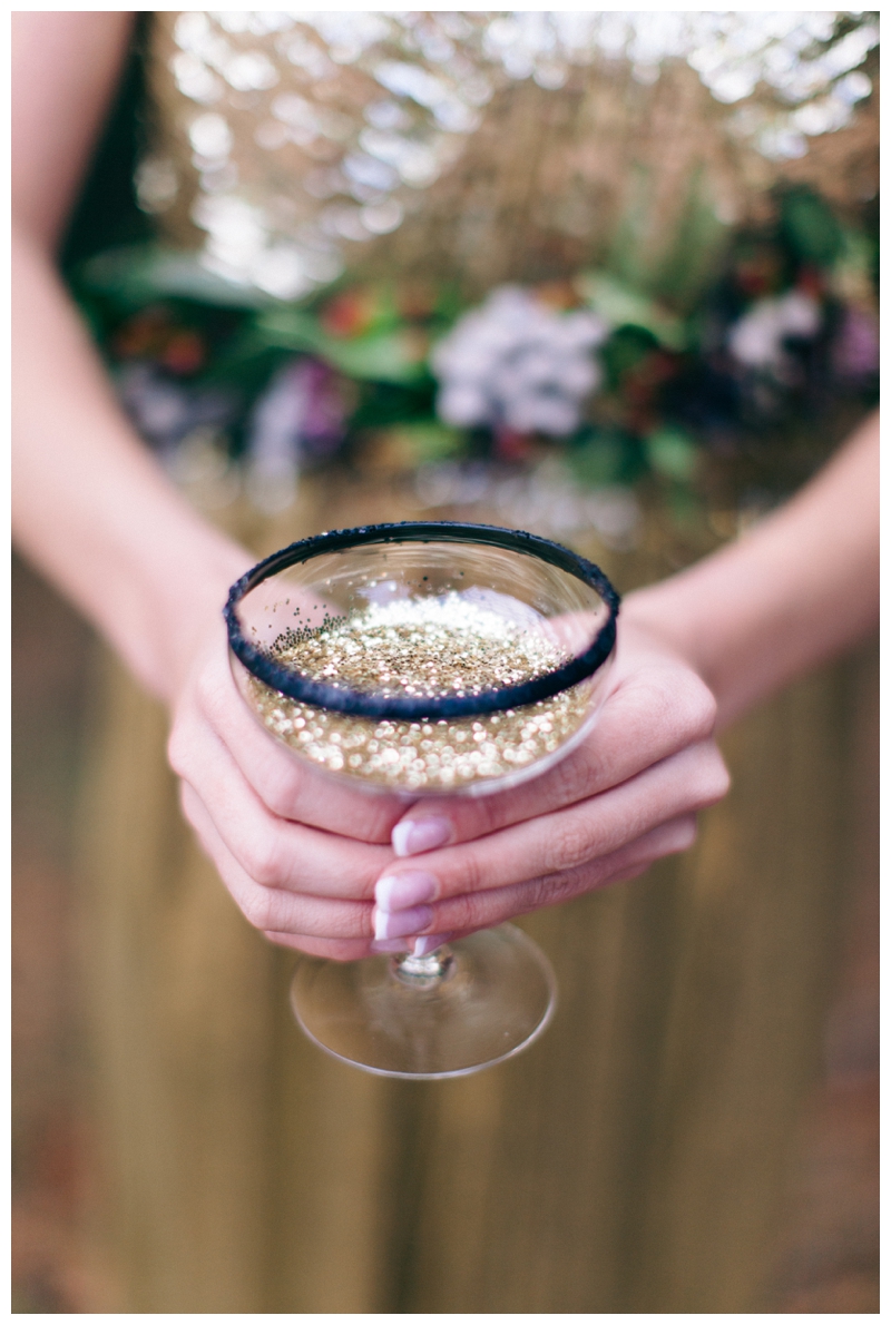 Nikki Santerre Photography_Auld Lang Syne_New Years Eve Styled Shoot_0028