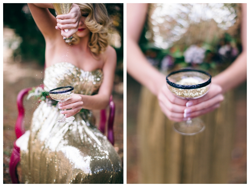 Nikki Santerre Photography_Auld Lang Syne_New Years Eve Styled Shoot_0029