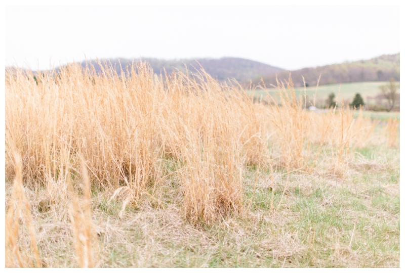 Nikki Santerre Photography_Pippin Hill Engagement_Maggie & Brian_0024
