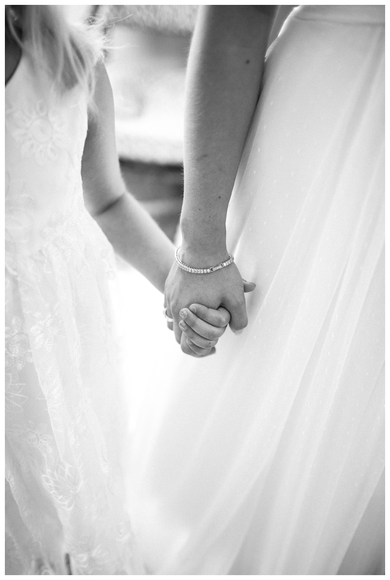 Nikki Santerre Photography_Virginia Fine Art Wedding Photographer_University of Richmond Wedding_Wyndham Virginia Crossings Wedding_Emily & Albert_0012
