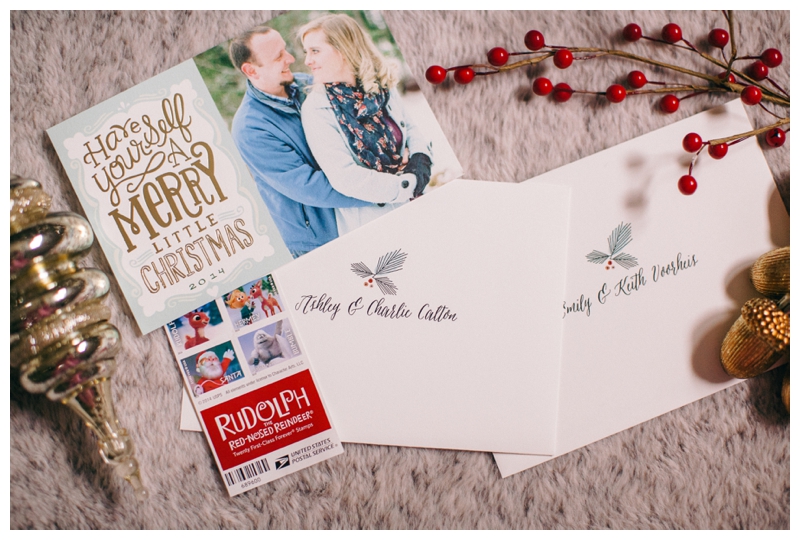 Nikki Santerre Photography_Virginia Fine Art Wedding Photographer_Minted Christmas Cards 2014_0002