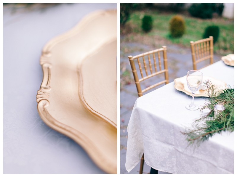 Nikki Santerre Photography_Virginia Fine Art Wedding Photography_Southern Winter Styled Shoot_Southern Charm Events_0004