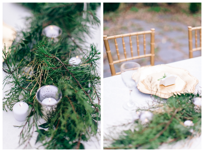 Nikki Santerre Photography_Virginia Fine Art Wedding Photography_Southern Winter Styled Shoot_Southern Charm Events_0006