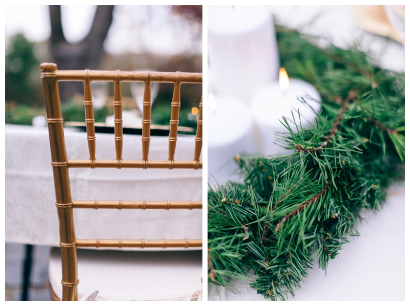 Nikki Santerre Photography_Virginia Fine Art Wedding Photography_Southern Winter Styled Shoot_Southern Charm Events_0007