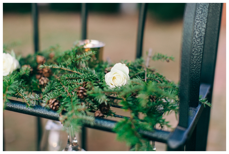 Nikki Santerre Photography_Virginia Fine Art Wedding Photography_Southern Winter Styled Shoot_Southern Charm Events_0022