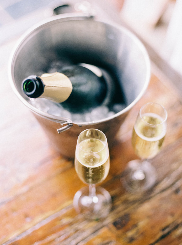 NikkiSanterrePhotography_VirginiaFineArtFilmPhotographer_PippinHillFarm&WineryonFilm-11