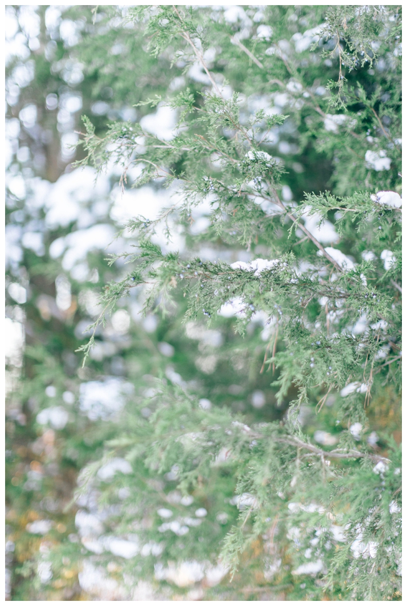 Nikki Santerre Photography_Virginia Fine Art Wedding Photography_Snowy Engagement Session_Meredith and Carter_0001